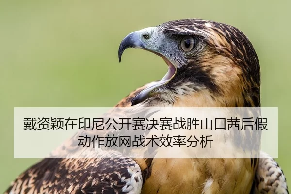 dai-zi-ying-zai-yin-ni-gong-kai-sai-jue-sai-zhan-sheng-shan-kou-qian-hou-jia-dong-zuo-fang-wang-zhan-shu-xiao-lv-fen-xi-2-727.jpg